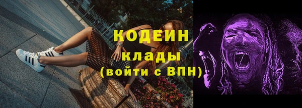 амф Новозыбков