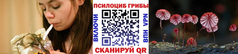 Псилоцибиновые грибы ЛСД  Купить  Киреевск 
